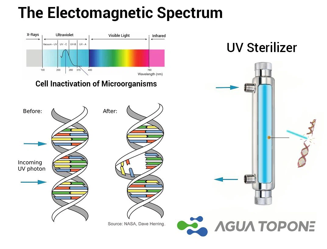 UV dezinfekcijos principai